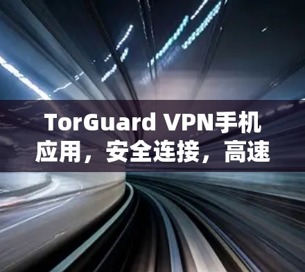 TorGuard VPN手机应用，安全连接，高速浏览