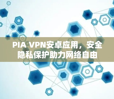 PIA VPN安卓应用，安全隐私保护助力网络自由
