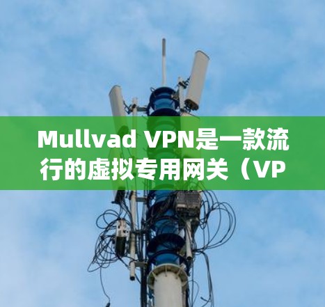 Mullvad VPN是一款流行的虚拟专用网关（VPN）服务，用于保护用户的网络安全和隐私。以下是安装Mullvad VPN的详细教程，涵盖Windows、macOS和Android操作系统