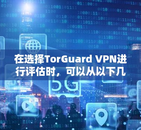 在选择TorGuard VPN进行评估时，可以从以下几个方面进行详细分析