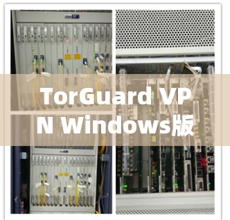 TorGuard VPN Windows版下载与安装指南