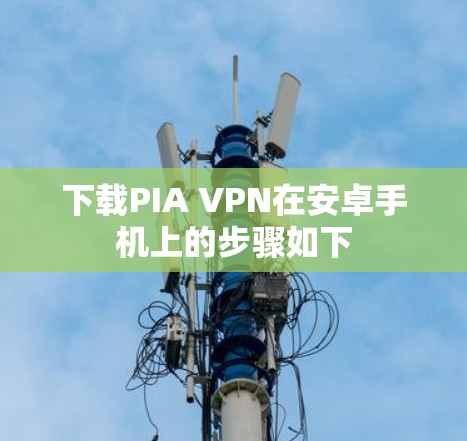 下载PIA VPN在安卓手机上的步骤如下