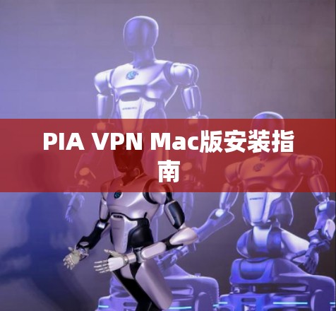 PIA VPN Mac版安装指南