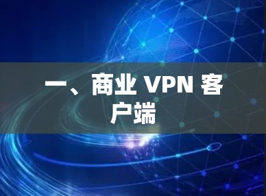 一、商业 VPN 客户端