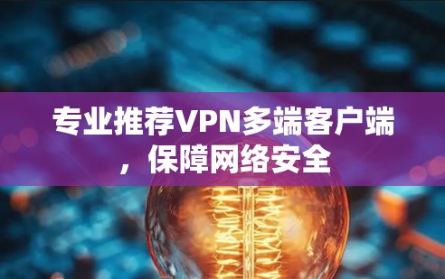 专业推荐VPN多端客户端，保障网络安全