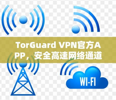 TorGuard VPN官方APP，安全高速网络通道