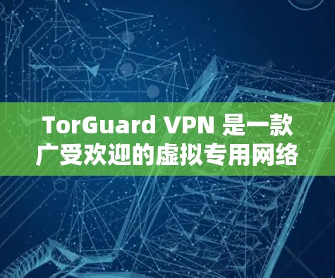 TorGuard VPN 是一款广受欢迎的虚拟专用网络（VPN）服务提供商，支持多种平台，包括Windows。以下是使用TorGuard VPN在Windows上的基本步骤和信息
