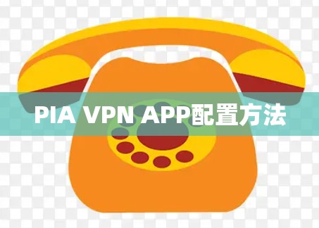 PIA VPN APP配置方法