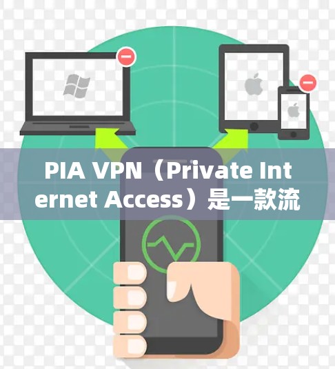 PIA VPN（Private Internet Access）是一款流行的VPN服务，支持在多种设备上安装和使用。以下是PIA VPN在不同设备上的安装步骤