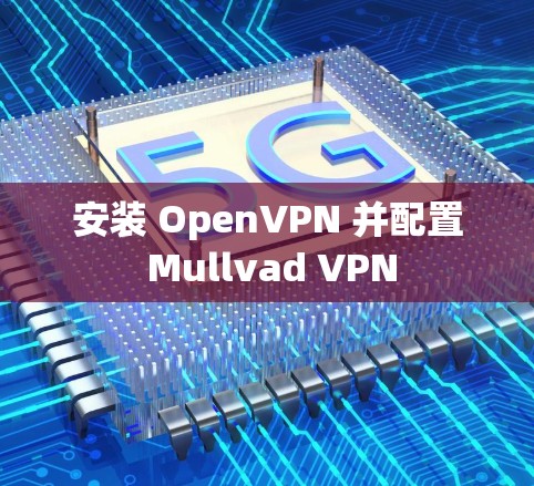 安装 OpenVPN 并配置 Mullvad VPN
