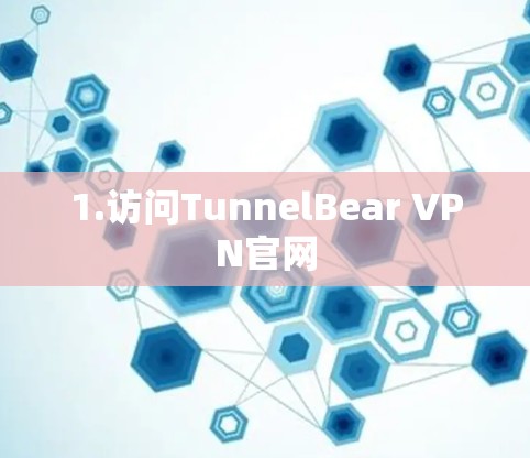1.访问TunnelBear VPN官网