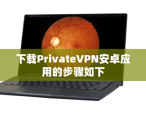 下载PrivateVPN安卓应用的步骤如下
