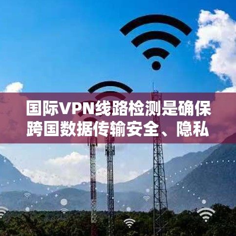 国际VPN线路检测是确保跨国数据传输安全、隐私和合规的关键过程。以下是对这一检测的详细分步解释
