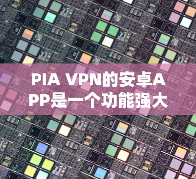 PIA VPN的安卓APP是一个功能强大且安全的网络工具，适合需要保护隐私和安全的用户。以下是对PIA VPN安卓APP的详细评价