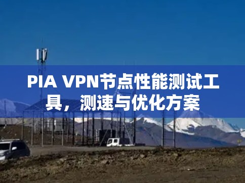 PIA VPN节点性能测试工具，测速与优化方案