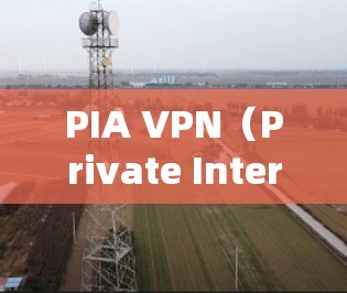 PIA VPN（Private Internet Access）是一款流行的VPN服务提供商，用户可能需要测试其VPN线路的连接质量或安全性。以下是一些可以帮助测试PIA VPN线路的工具和方法
