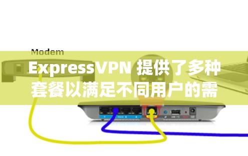 ExpressVPN 提供了多种套餐以满足不同用户的需求。以下是其热门版本的分析
