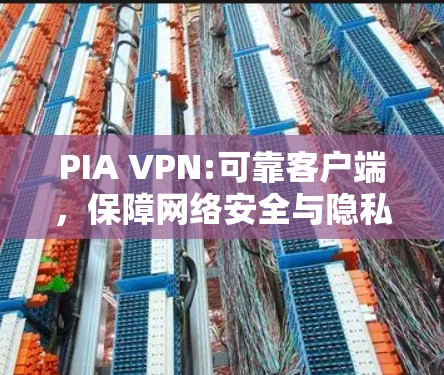 PIA VPN:可靠客户端，保障网络安全与隐私