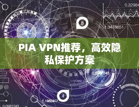 PIA VPN推荐，高效隐私保护方案