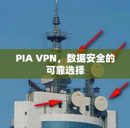 PIA VPN，数据安全的可靠选择