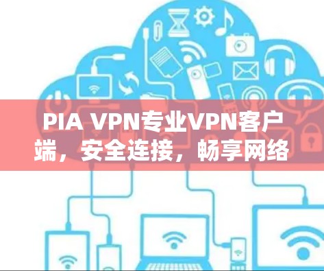 PIA VPN专业VPN客户端，安全连接，畅享网络