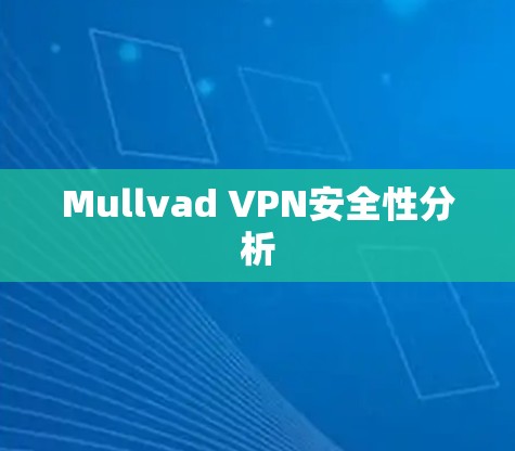 Mullvad VPN安全性分析