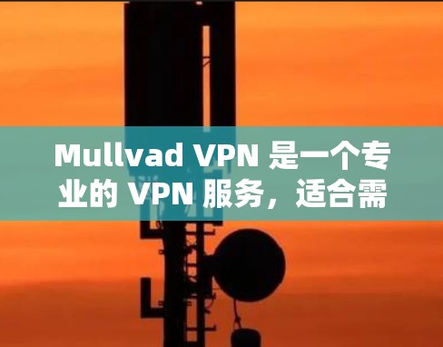 Mullvad VPN 是一个专业的 VPN 服务，适合需要高级功能的用户。以下是对其的详细评估