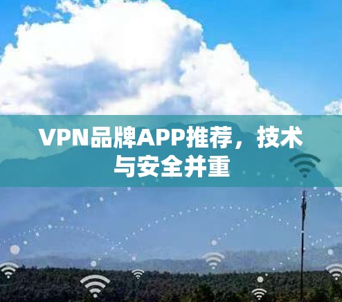 VPN品牌APP推荐，技术与安全并重