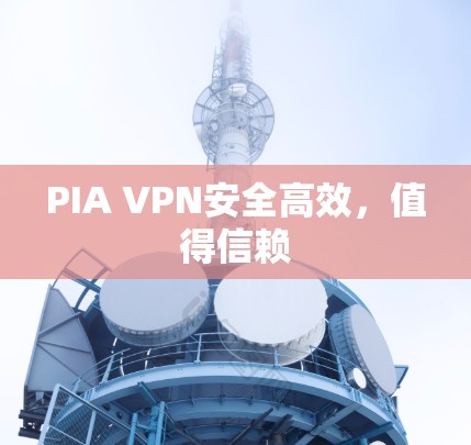 PIA VPN安全高效，值得信赖
