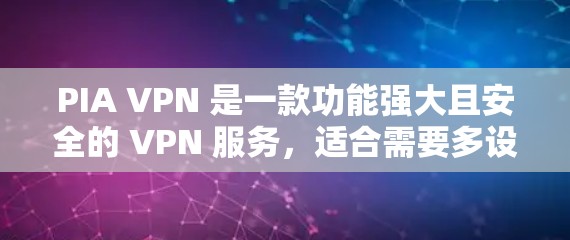 PIA VPN 是一款功能强大且安全的 VPN 服务，适合需要多设备连接和高隐私保护的用户。以下是对 PIA VPN 的详细分析和总结