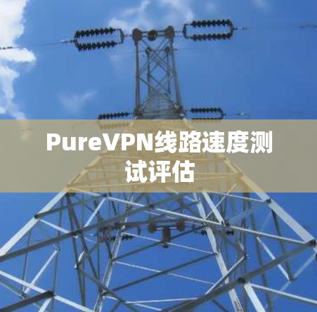 PureVPN线路速度测试评估
