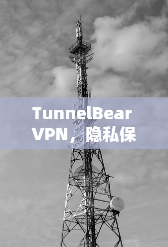TunnelBear VPN，隐私保护与网络安全的双重保障