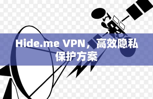 Hide.me VPN，高效隐私保护方案