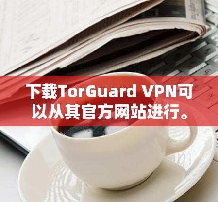 下载TorGuard VPN可以从其官方网站进行。以下是详细的步骤