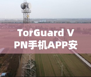 TorGuard VPN手机APP安装指南