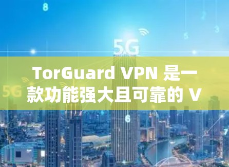 TorGuard VPN 是一款功能强大且可靠的 VPN 工具，适合各类用户，尤其是需要保护隐私和网络自由的用户。以下是对 TorGuard VPN 的详细分析和总结