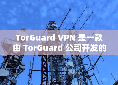 TorGuard VPN 是一款由 TorGuard 公司开发的网络虚拟专用服务器（VPN）服务软件，旨在为用户提供匿名性和安全性。以下是关于 TorGuard VPN 的一些关键信息和特点