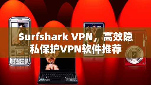 Surfshark VPN，高效隐私保护VPN软件推荐
