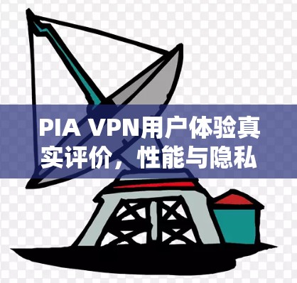 PIA VPN用户体验真实评价，性能与隐私的平衡