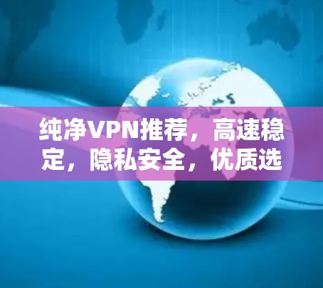 纯净VPN推荐，高速稳定，隐私安全，优质选择
