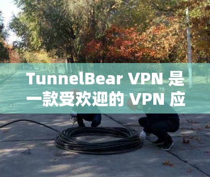 TunnelBear VPN 是一款受欢迎的 VPN 应用，确实是一个不错的选择。以下是它的一些主要优势和特点