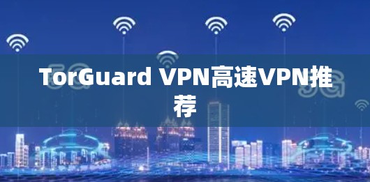 TorGuard VPN高速VPN推荐