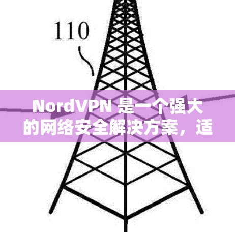 NordVPN 是一个强大的网络安全解决方案，适合需要保护隐私和安全的用户。以下是对 NordVPN 的详细分析和总结