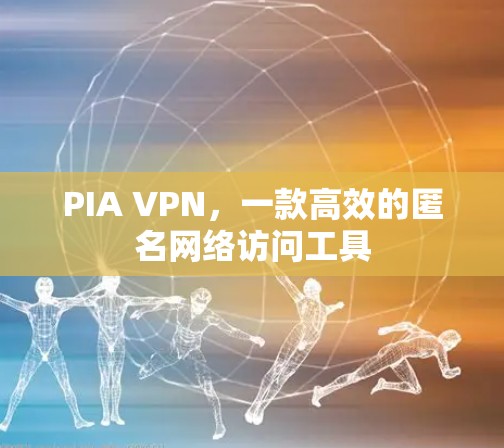 PIA VPN，一款高效的匿名网络访问工具