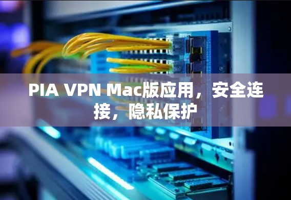 PIA VPN Mac版应用，安全连接，隐私保护