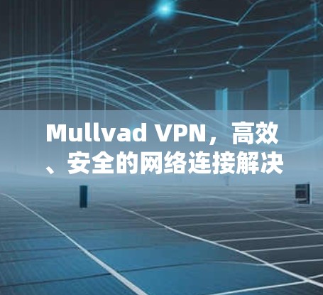 Mullvad VPN，高效、安全的网络连接解决方案