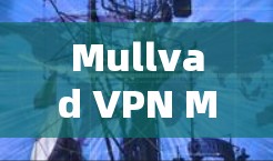 Mullvad VPN Mac版应用，保障网络安全与隐私保护的高效解决方案