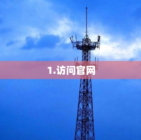 1.访问官网