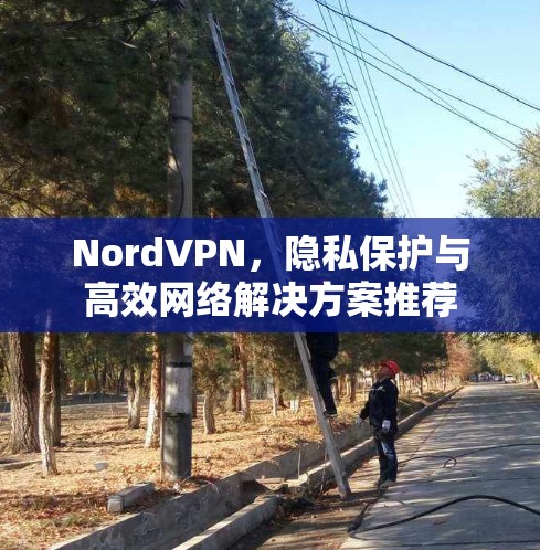 NordVPN，隐私保护与高效网络解决方案推荐