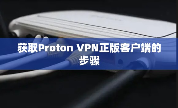 获取Proton VPN正版客户端的步骤